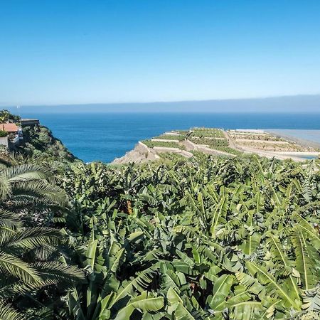 Finca Alejandrina La Guancha エクステリア 写真
