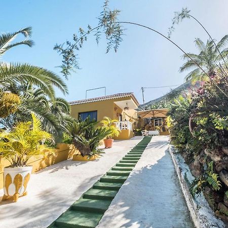 Finca Alejandrina La Guancha エクステリア 写真