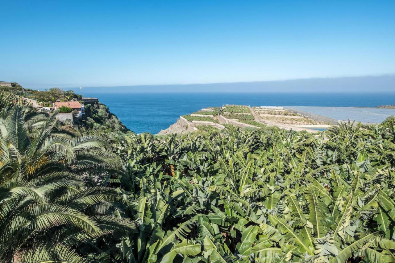 Finca Alejandrina La Guancha エクステリア 写真