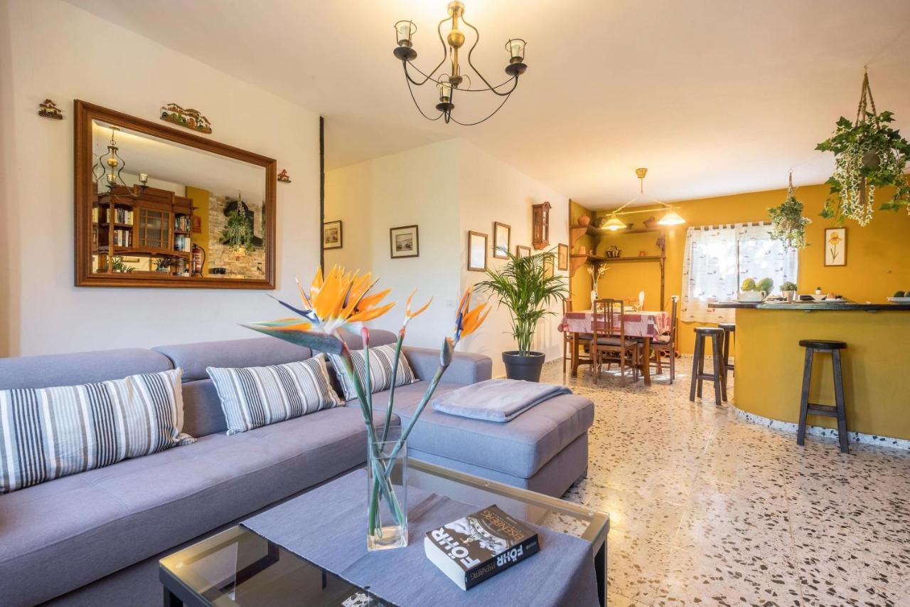 Finca Alejandrina La Guancha エクステリア 写真